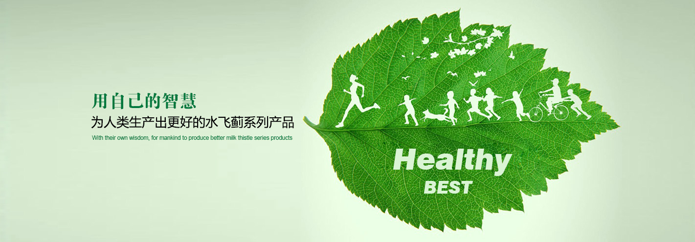 上海浩登材料股份有限公司